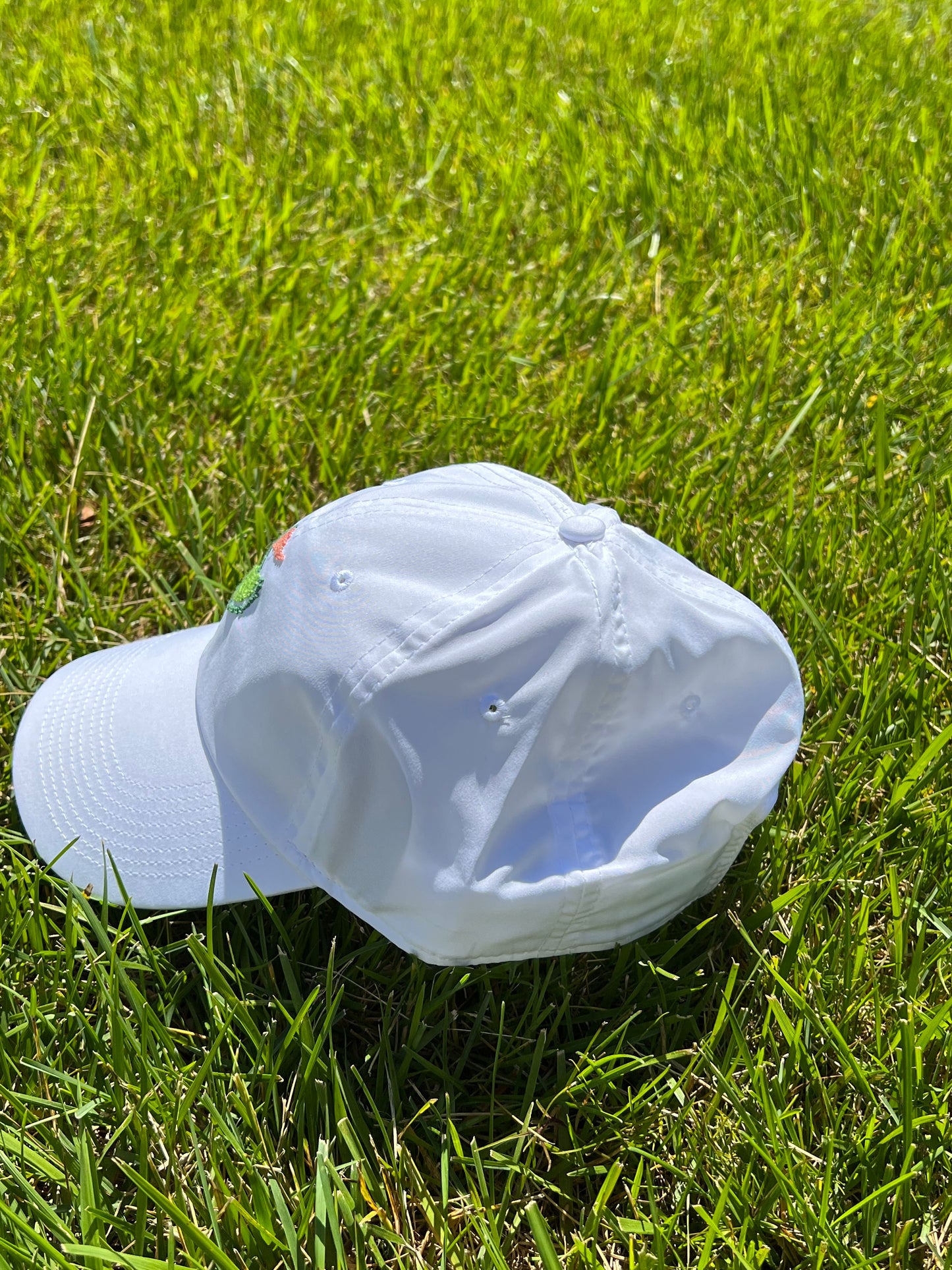 Needlepoint Performance Hat